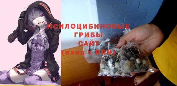 метадон Богданович
