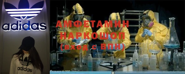 метадон Богданович