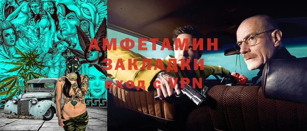 метадон Богданович
