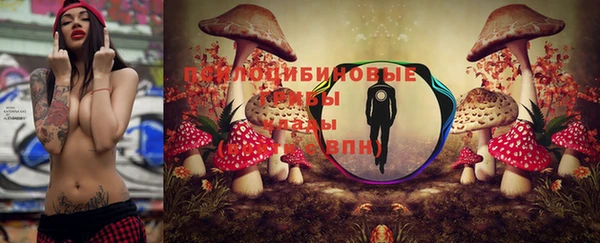 метадон Богданович