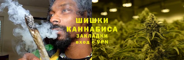 метадон Богданович