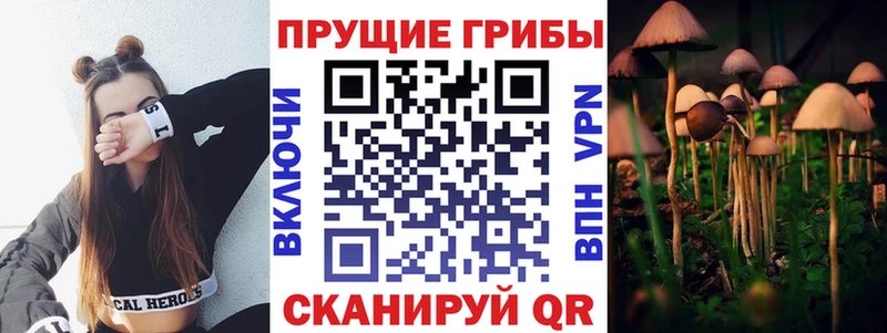 Псилоцибиновые грибы Magic Shrooms  где можно купить наркотик  мега tor  Калуга 