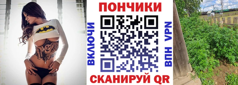 Бошки марихуана гибрид  ОМГ ОМГ сайт  Калуга 